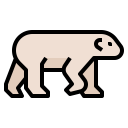 animals,wildlife,zoo,animal,wild,polar bear